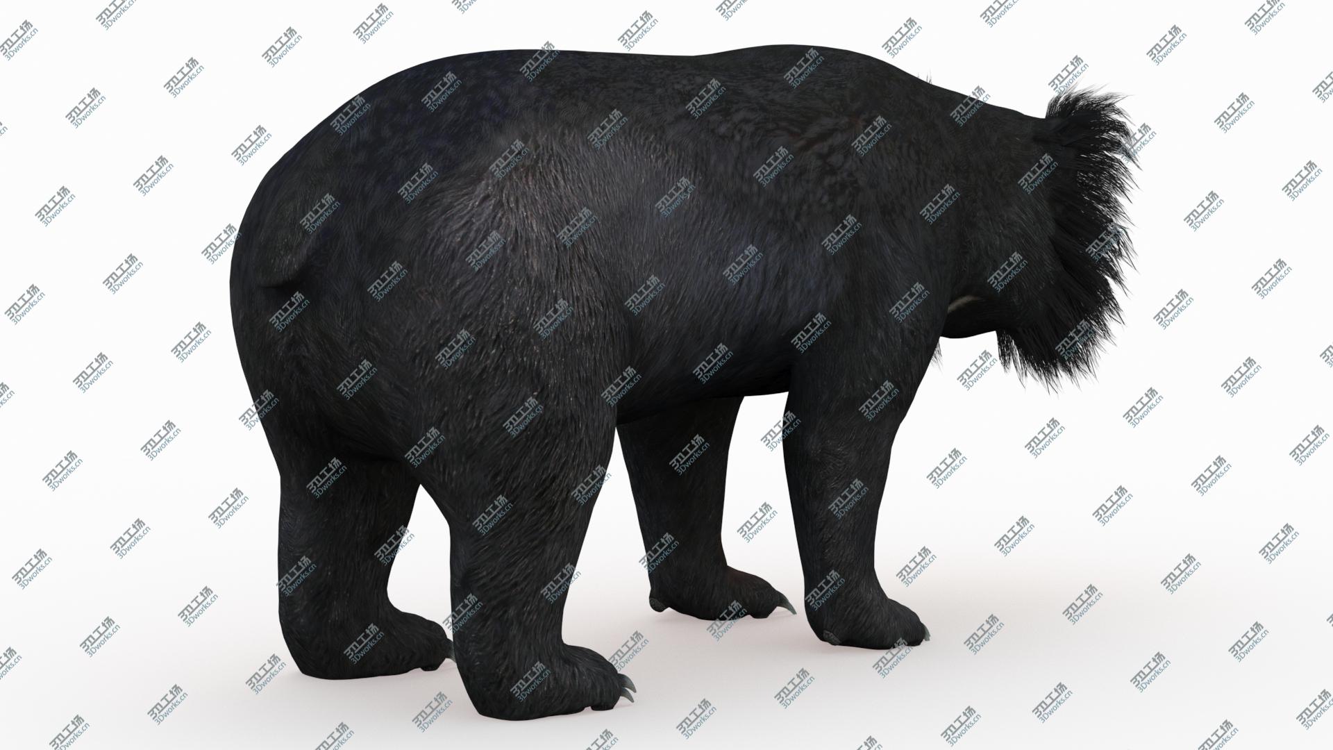 images/goods_img/2021040163/Sloth Bear 3D model/5.jpg